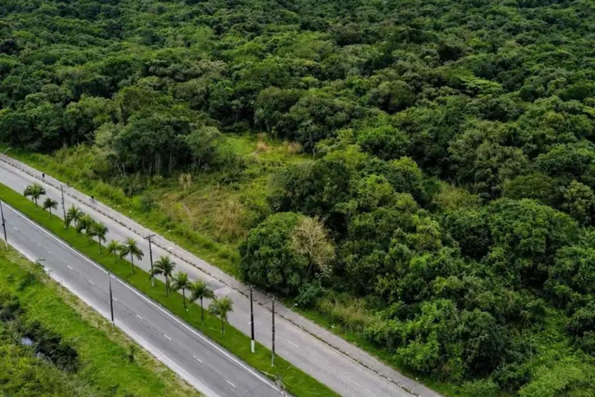 Terreno do novo Centro de Treinamento (CT) do Santos fica às margens da Avenida Vereadora Angelina Pretti da Silva, em São Vicente