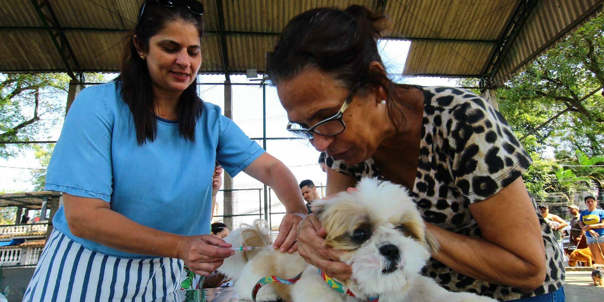 V10 protege contra doenças infecciosas; haverá 100 doses diárias
