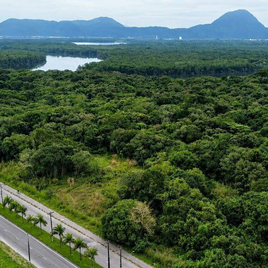 A área cogitada para o futuro CT da base do Santos fica na área continental de São Vicente