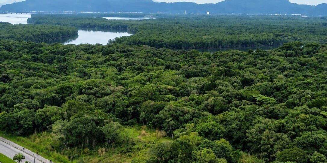 A área cogitada para o futuro CT da base do Santos fica na área continental de São Vicente