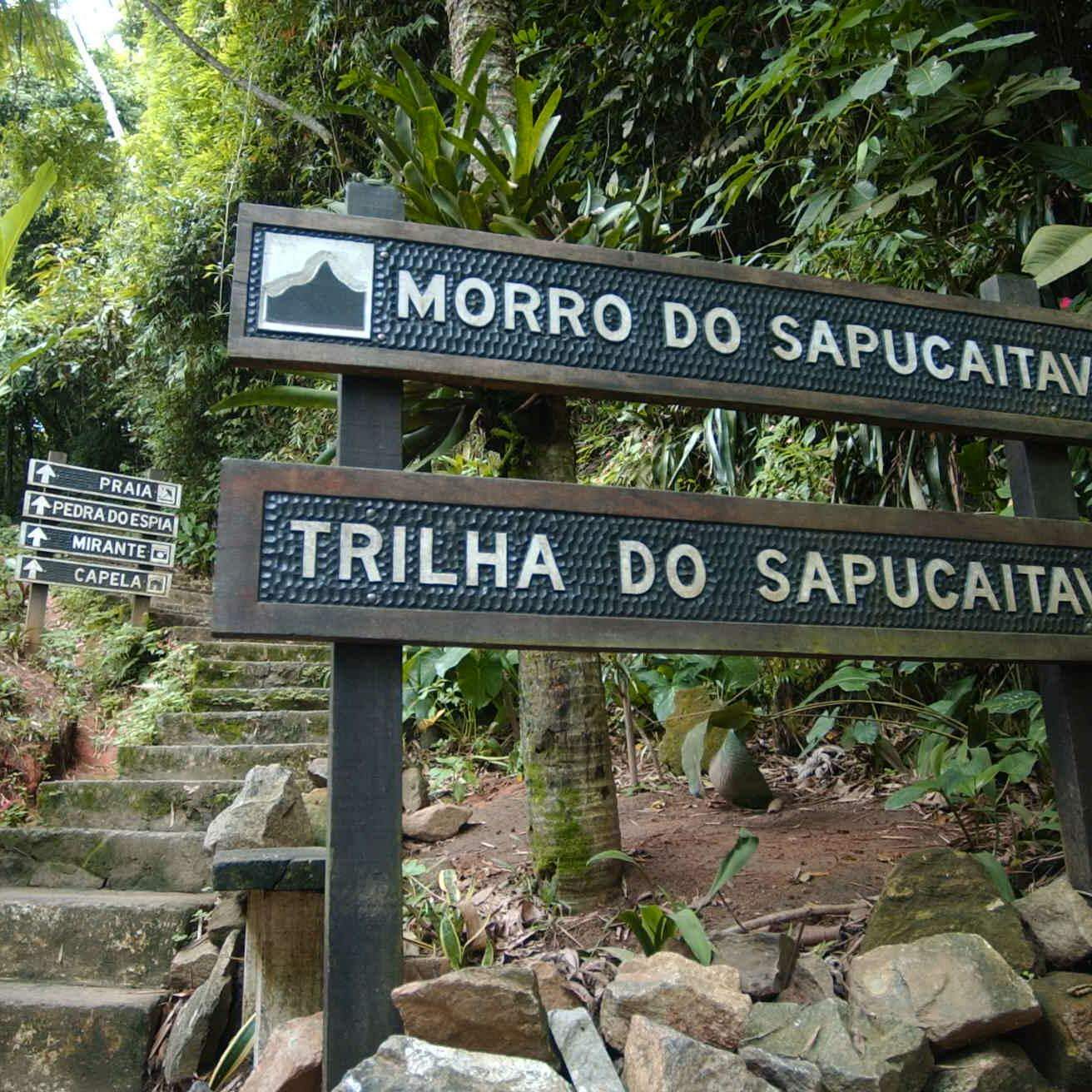 Durante a caminhada, os visitantes também podem observar espécies da fauna e da flora locais