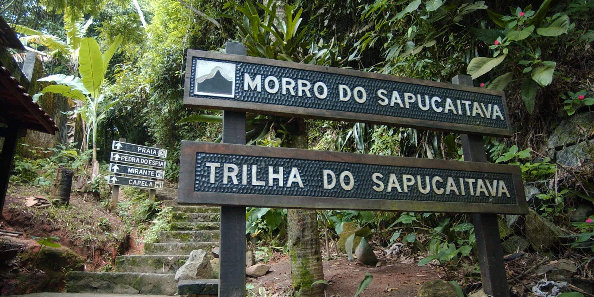 Durante a caminhada, os visitantes também podem observar espécies da fauna e da flora locais