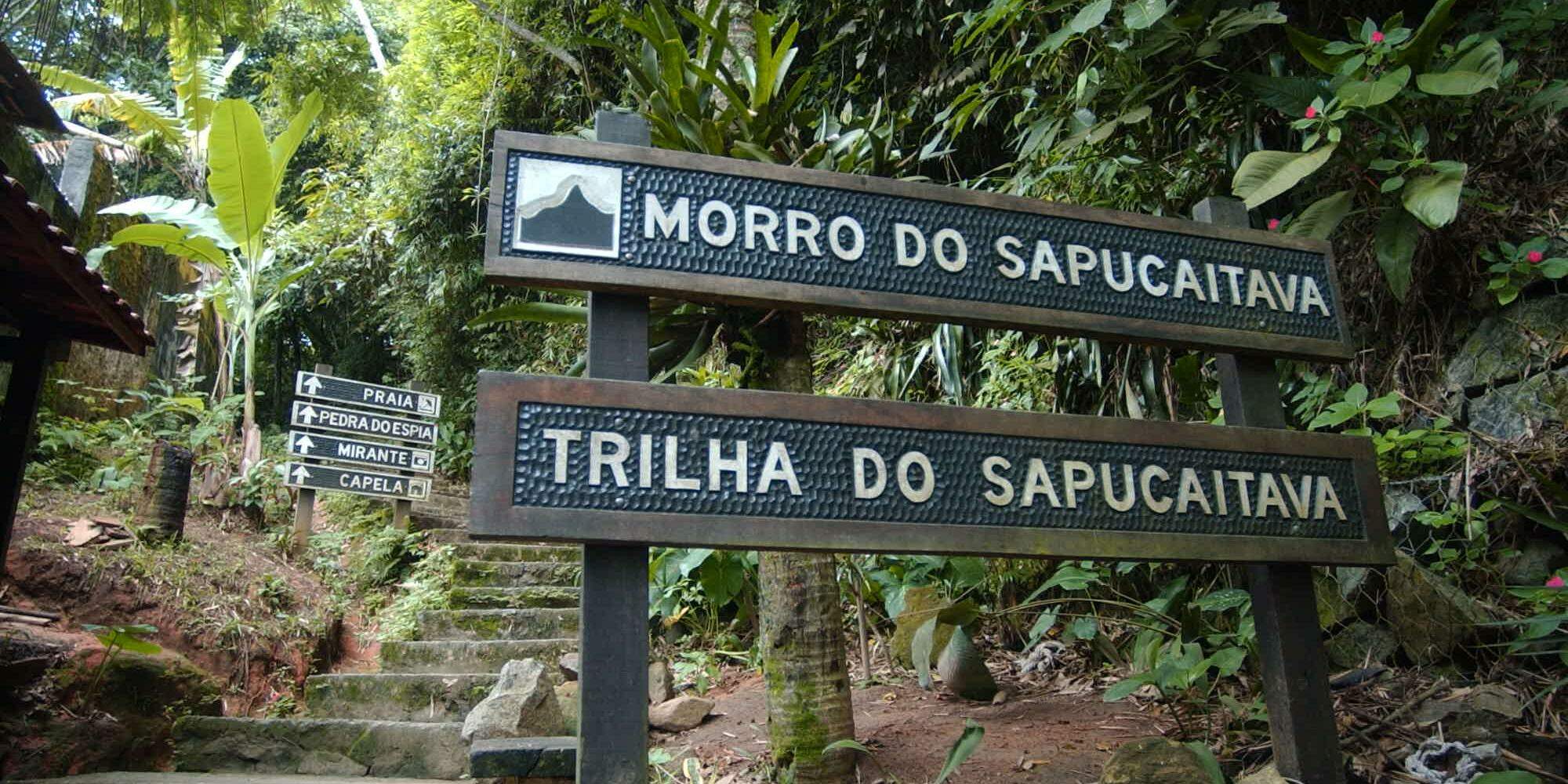 Durante a caminhada, os visitantes também podem observar espécies da fauna e da flora locais