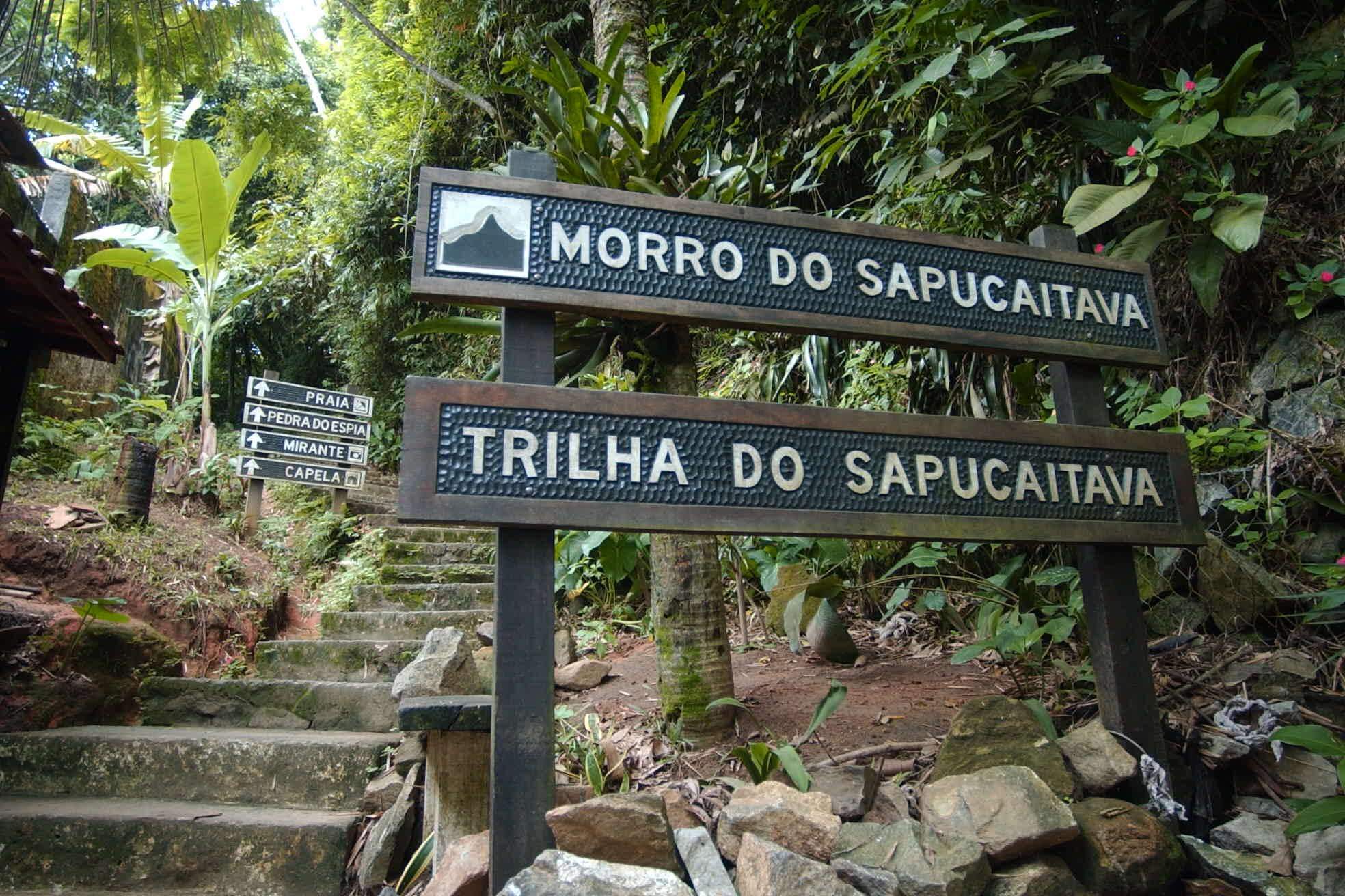 Durante a caminhada, os visitantes também podem observar espécies da fauna e da flora locais