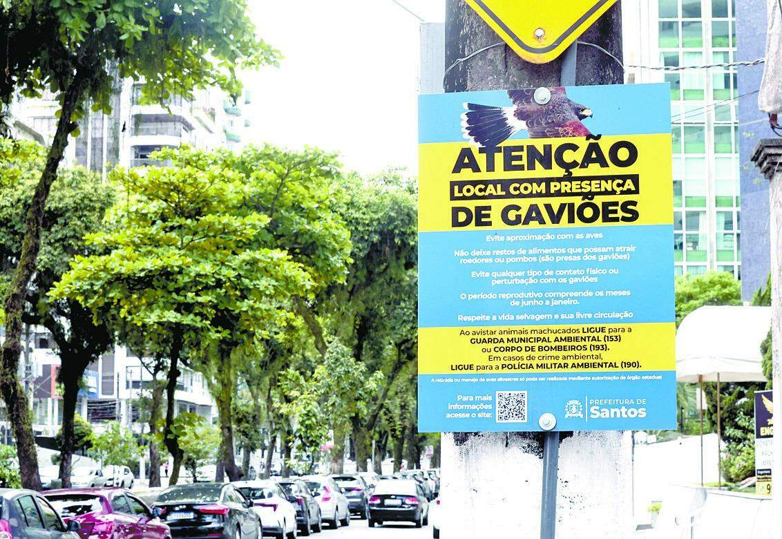 Prefeitura santista instalou 14 placas em pontos estratégicos com informações e orientações à população