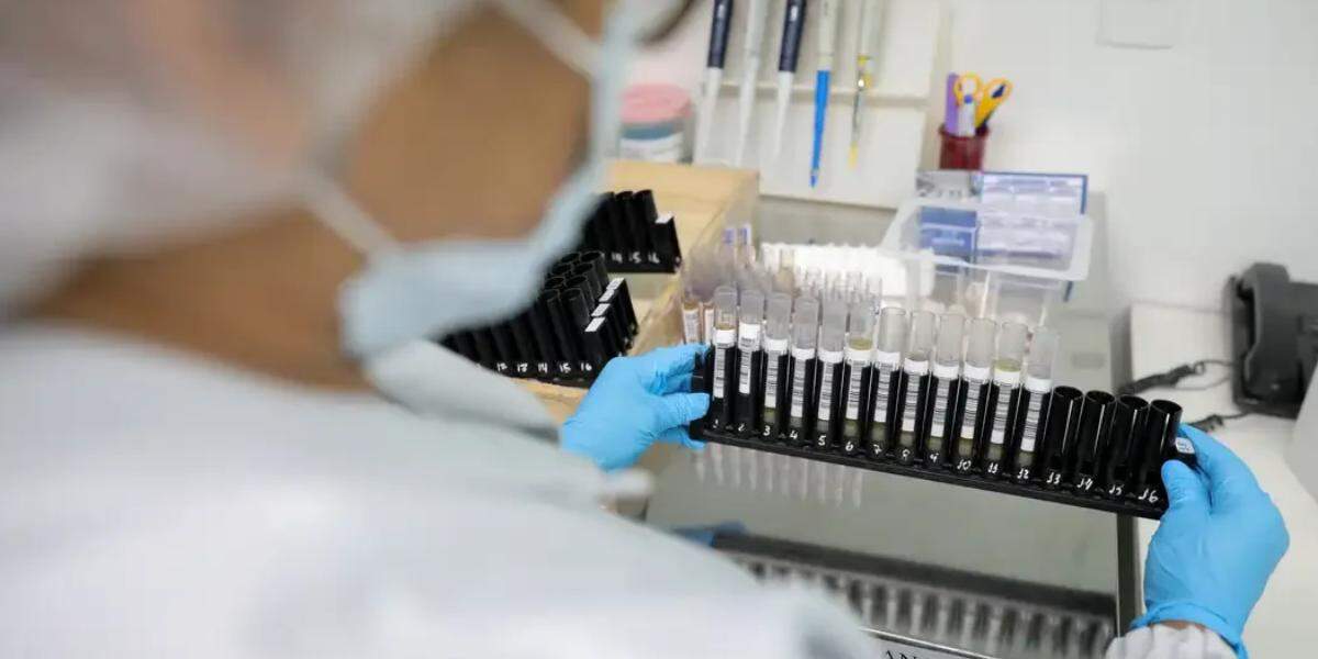 Malária: Anvisa autoriza teste em humanos de vacina 100% brasileira