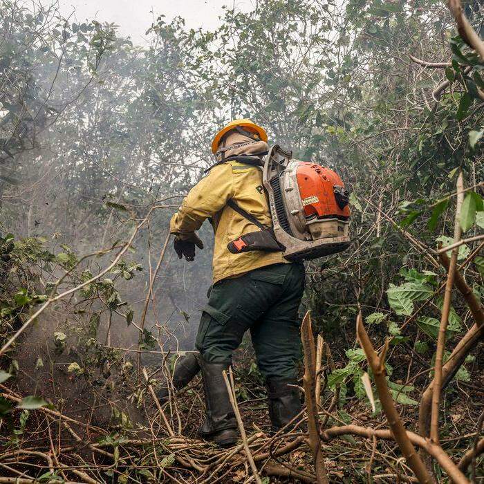 Incêndios no Amazonas resultam de ação humana intencional, diz ministro