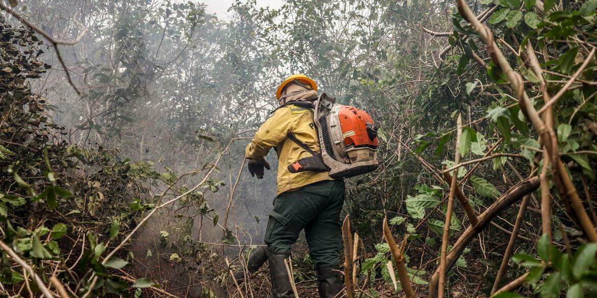 Incêndios no Amazonas resultam de ação humana intencional, diz ministro