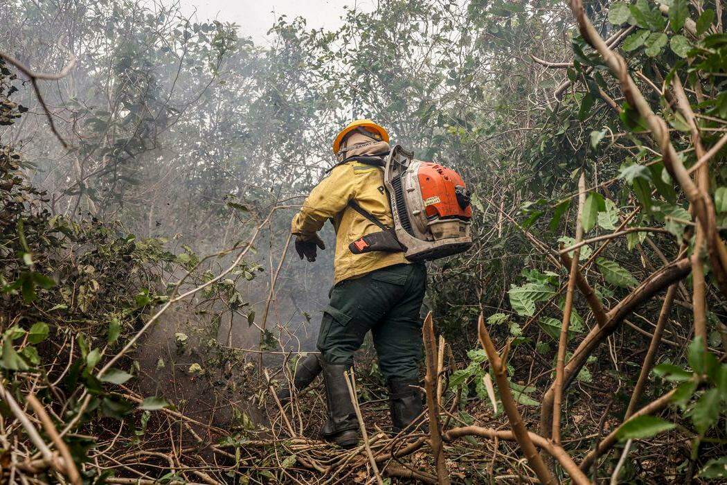 Incêndios no Amazonas resultam de ação humana intencional, diz ministro