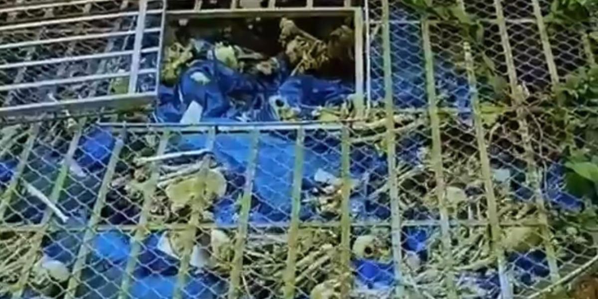 Registro gerou questionamentos sobre o acondicionamento de restos mortais em Mongaguá