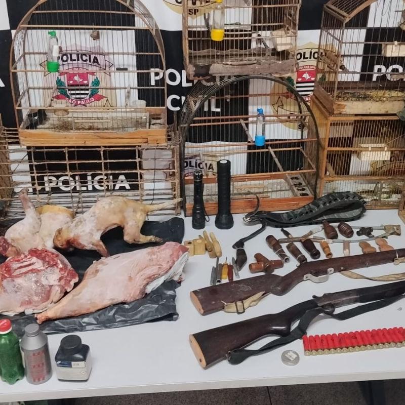 Armas, munições e animais congelados foram encontrados na propriedade