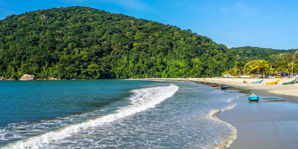 Em 2025, a Praia do Perequê esteve imprópria para banho durante 100% das semanas monitoradas do ano.