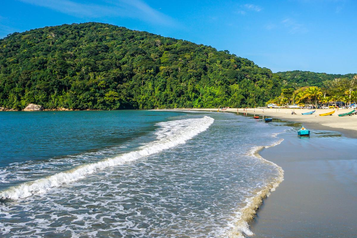 Em 2025, a Praia do Perequê esteve imprópria para banho durante 100% das semanas monitoradas do ano.