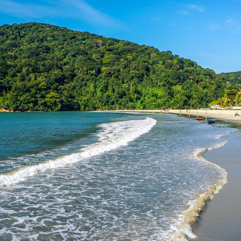 Em 2025, a Praia do Perequê, em Guarujá, esteve imprópria para banho de mar o ano inteiro