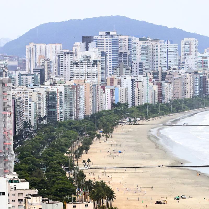 Construtoras e empreendedores imobiliários terão de doar uma muda para cada moradia a ser erguida