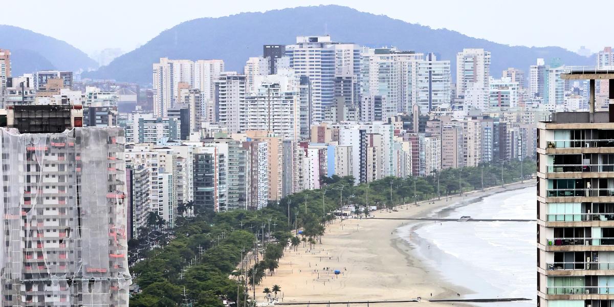 Construtoras e empreendedores imobiliários terão de doar uma muda para cada moradia a ser erguida