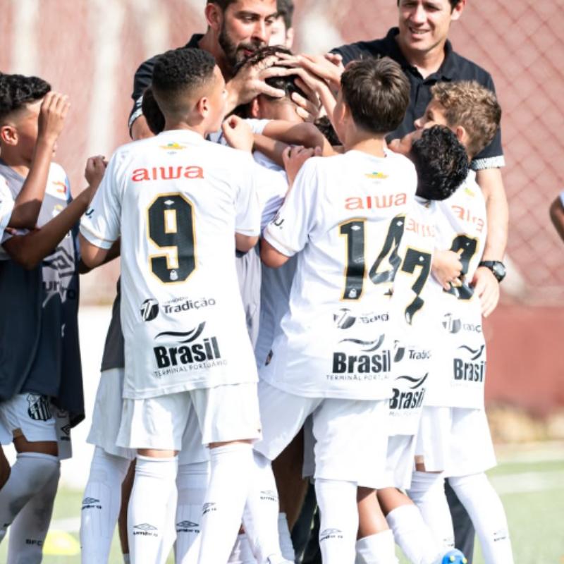 Ao todo, o Peixe conta com 53 jogadores revelados em suas divisões de base que atuam profissionalmente
