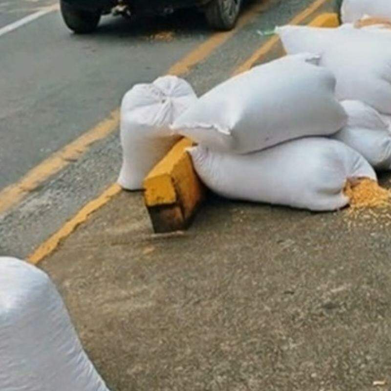 Material foi apreendido pela Polícia Militar