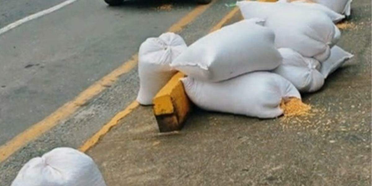 Material foi apreendido pela Polícia Militar