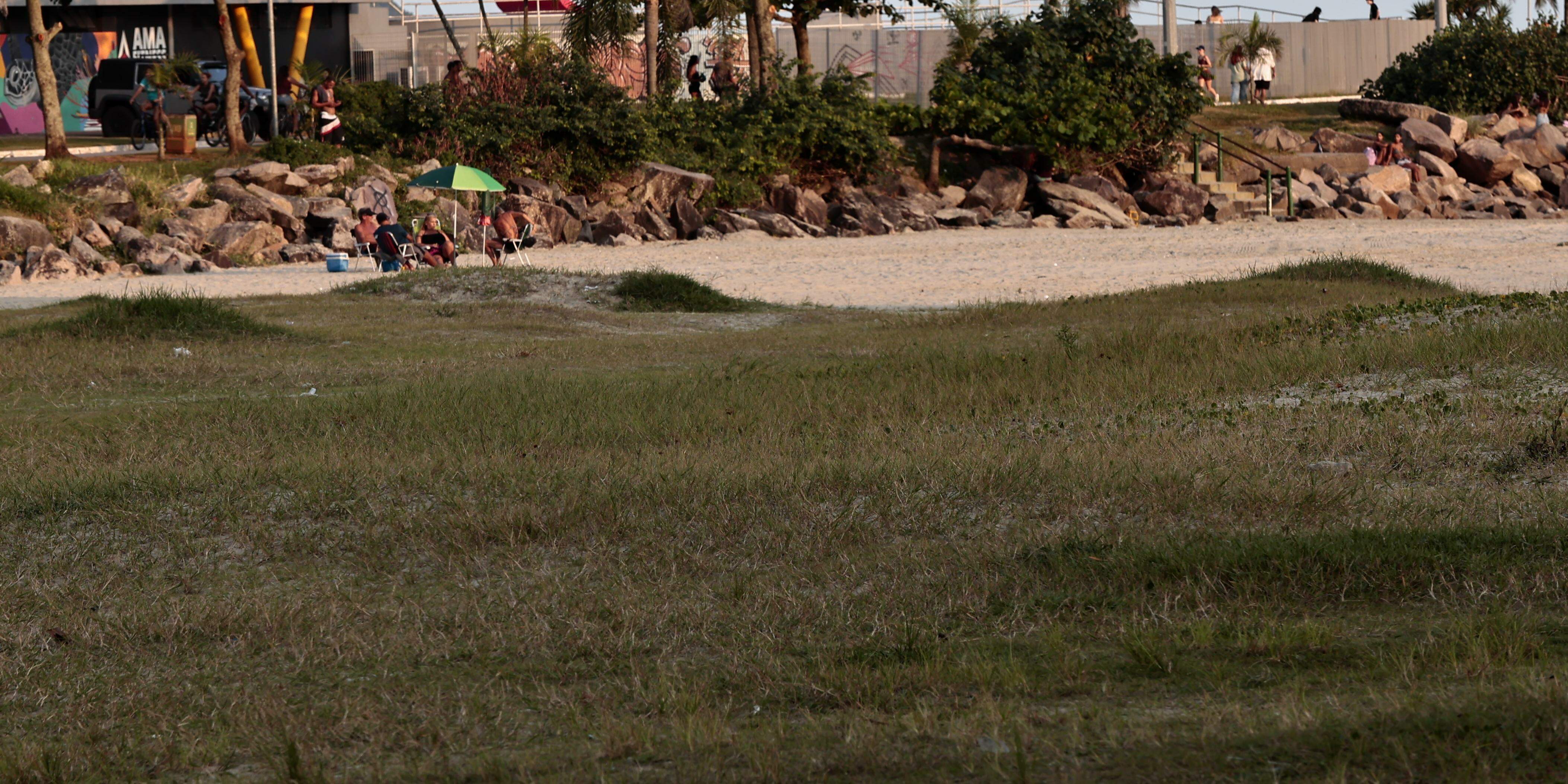 Em Santos, por exemplo, medidas de estímulo e preservação expandem cobertura de praias com o jundu