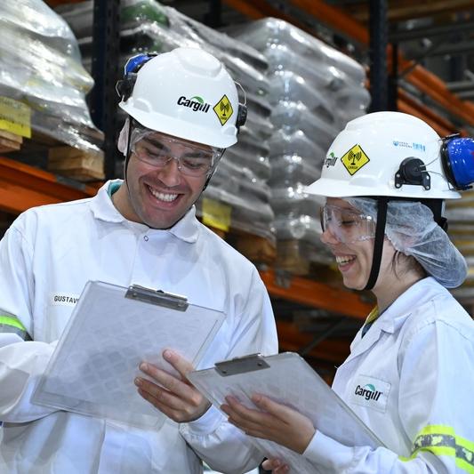 No total, são 9.775 oportunidades para ingressar no mercado de trabalho