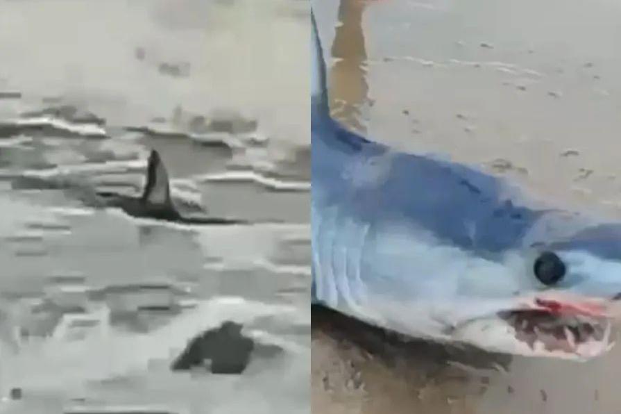 O caso aconteceu na Praia do Satélite na tarde de quinta-feira (22)