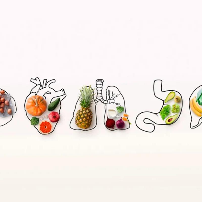 Vitaminas e outros nutrientes são necessários para que o nosso corpo consiga ter desempenho eficiente e fiquemos longe de doenças