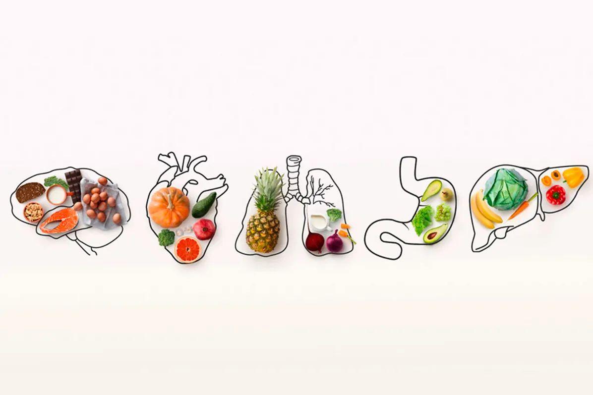 Vitaminas e outros nutrientes são necessários para que o nosso corpo consiga ter desempenho eficiente e fiquemos longe de doenças