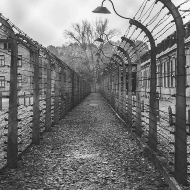 O regime nazista, que cometeu atrocidades na Segunda Guerra Mundial, vem ganhando força em alguns países