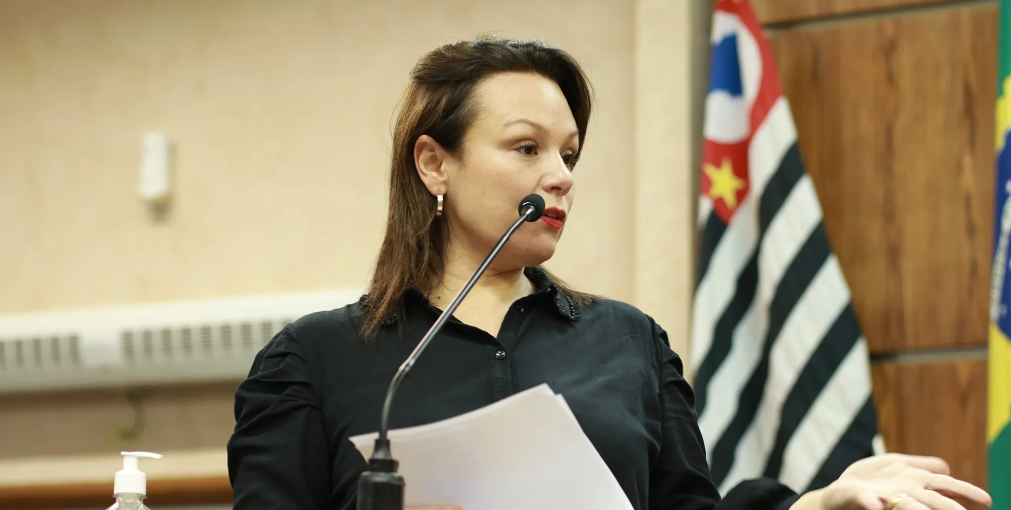  Ex-vereadora e candidata à Prefeitura em 2020 Janaina Ballaris foi condenada a indenizar munícipe. 