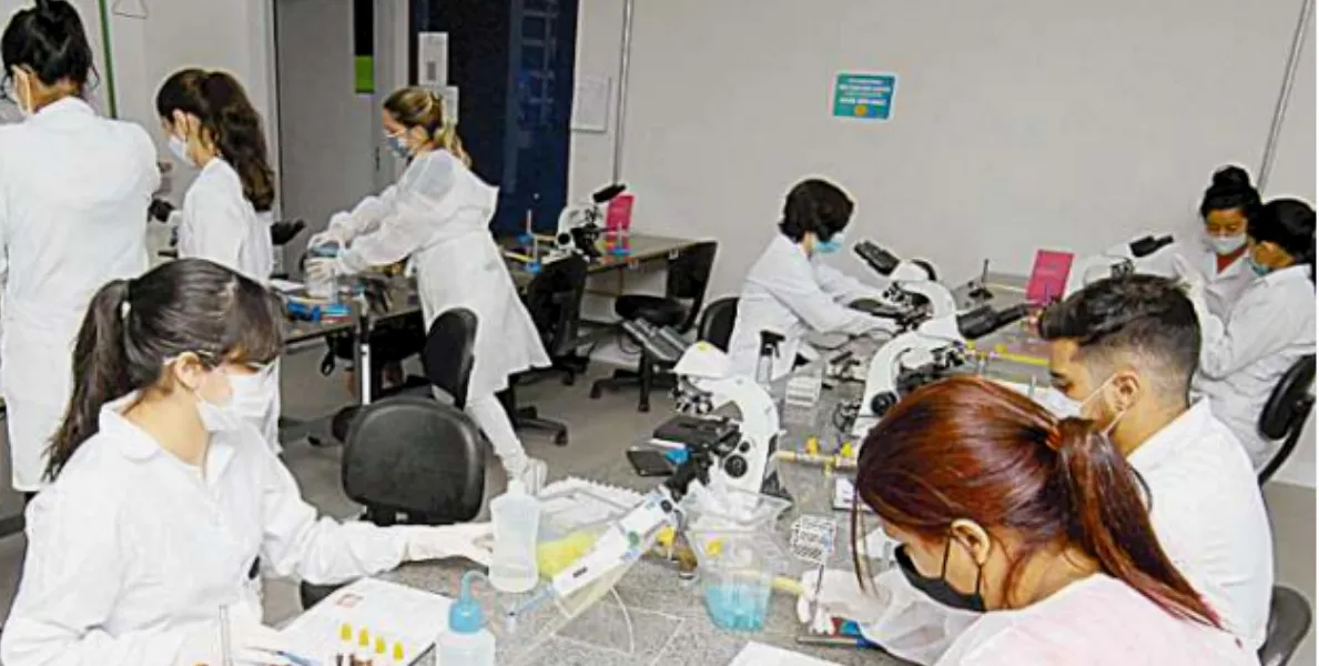   Campi da Unimonte em Santos e Cubatão realizam aula em laboratório  