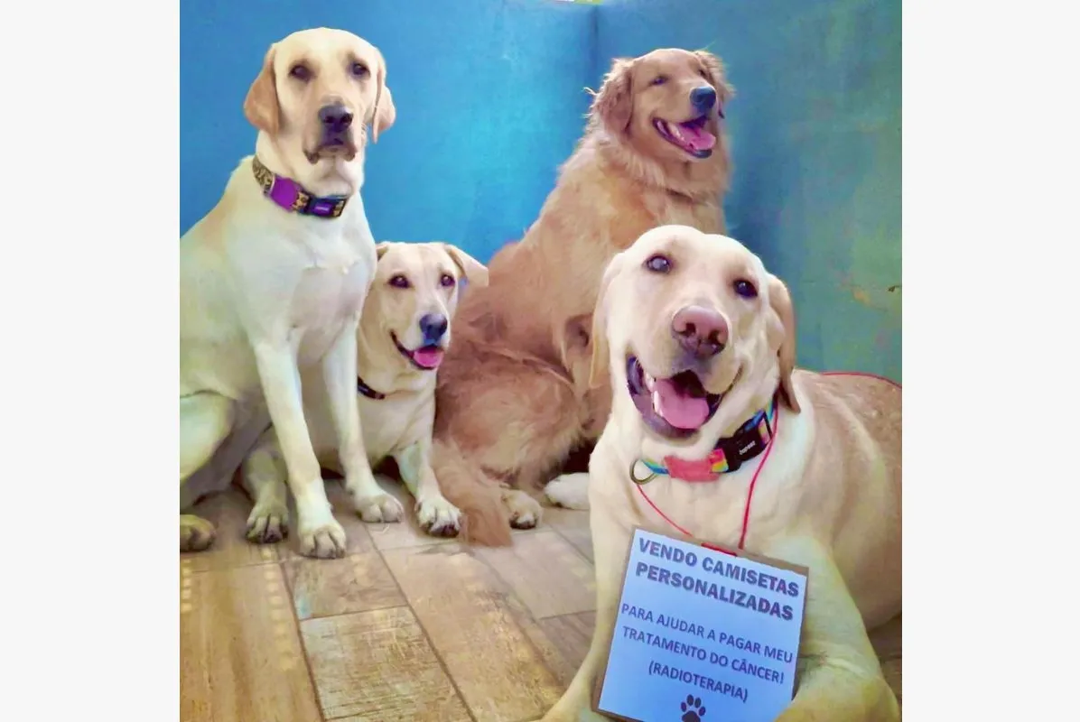 O casal já tinha criado um Instagram para Magali e às outras três cadelas que eles possuem e usou para divulgar as vendas