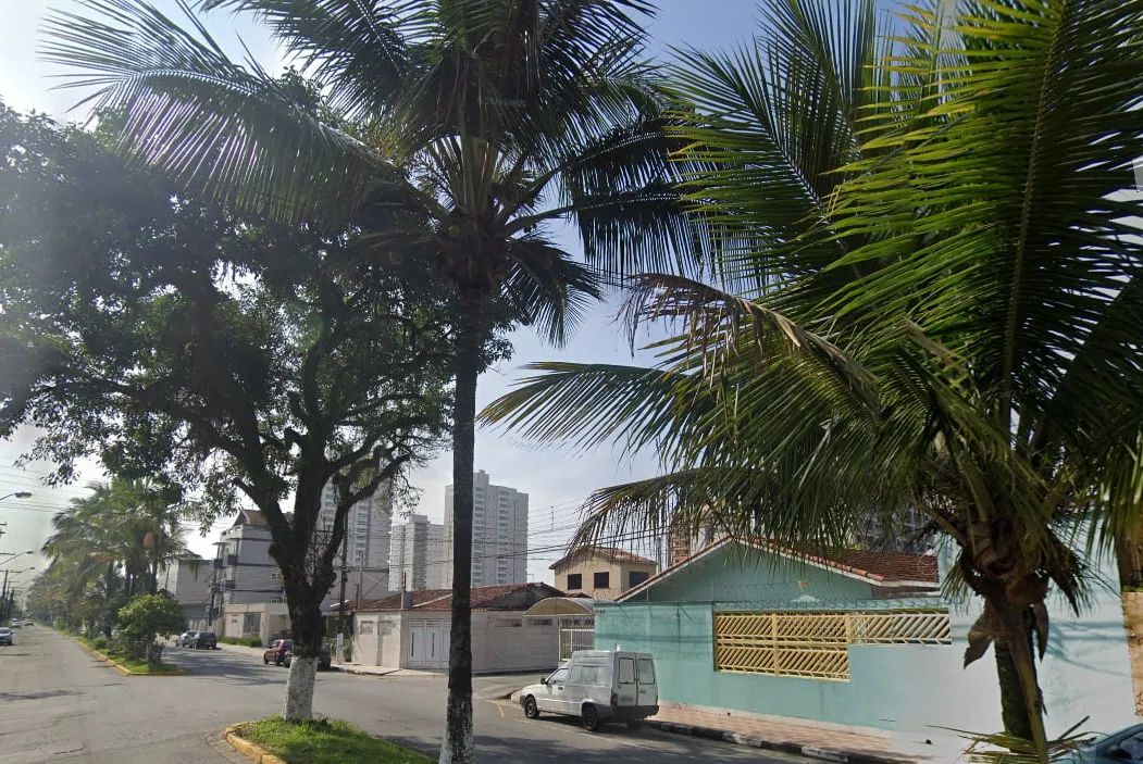 Infestação está afetando residências na Avenida São Paulo, em Mongaguá