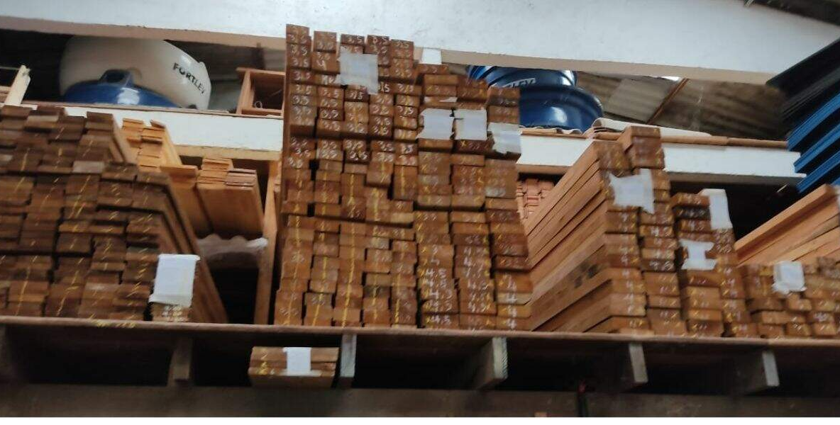     Depósito de madeira ilegal em Santos    