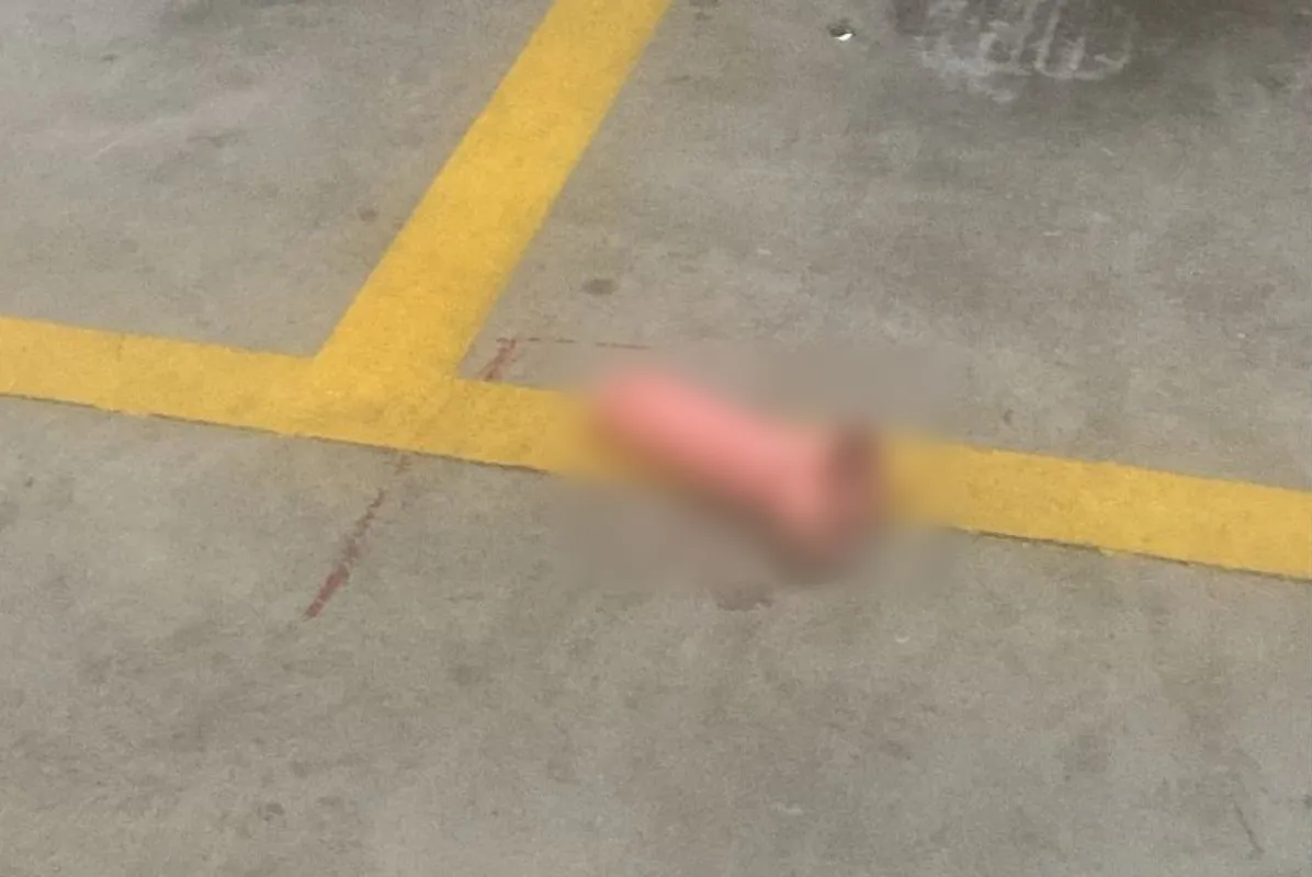 Vibrador foi encontrado no estacionamento de um shopping em Santos
