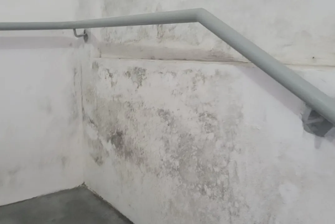 Bolor provocado pela infiltração pode ser encontrado na escadaria de um dos blocos do CDHU Santos Y - Vila Digna
