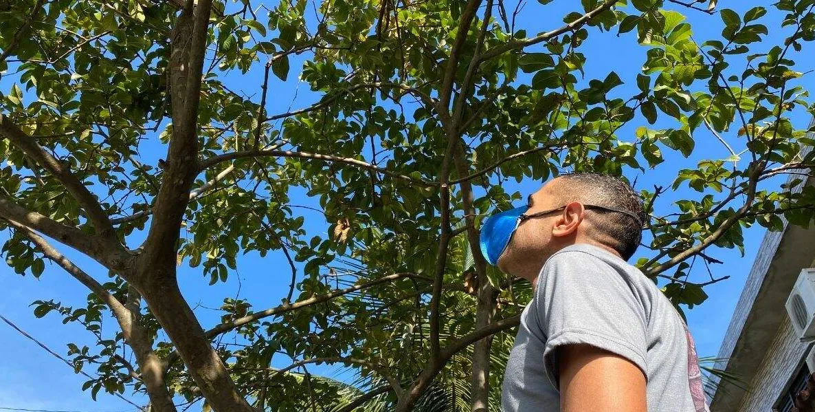    Hugo já plantou mais de 50 árvores em Santos e SV   