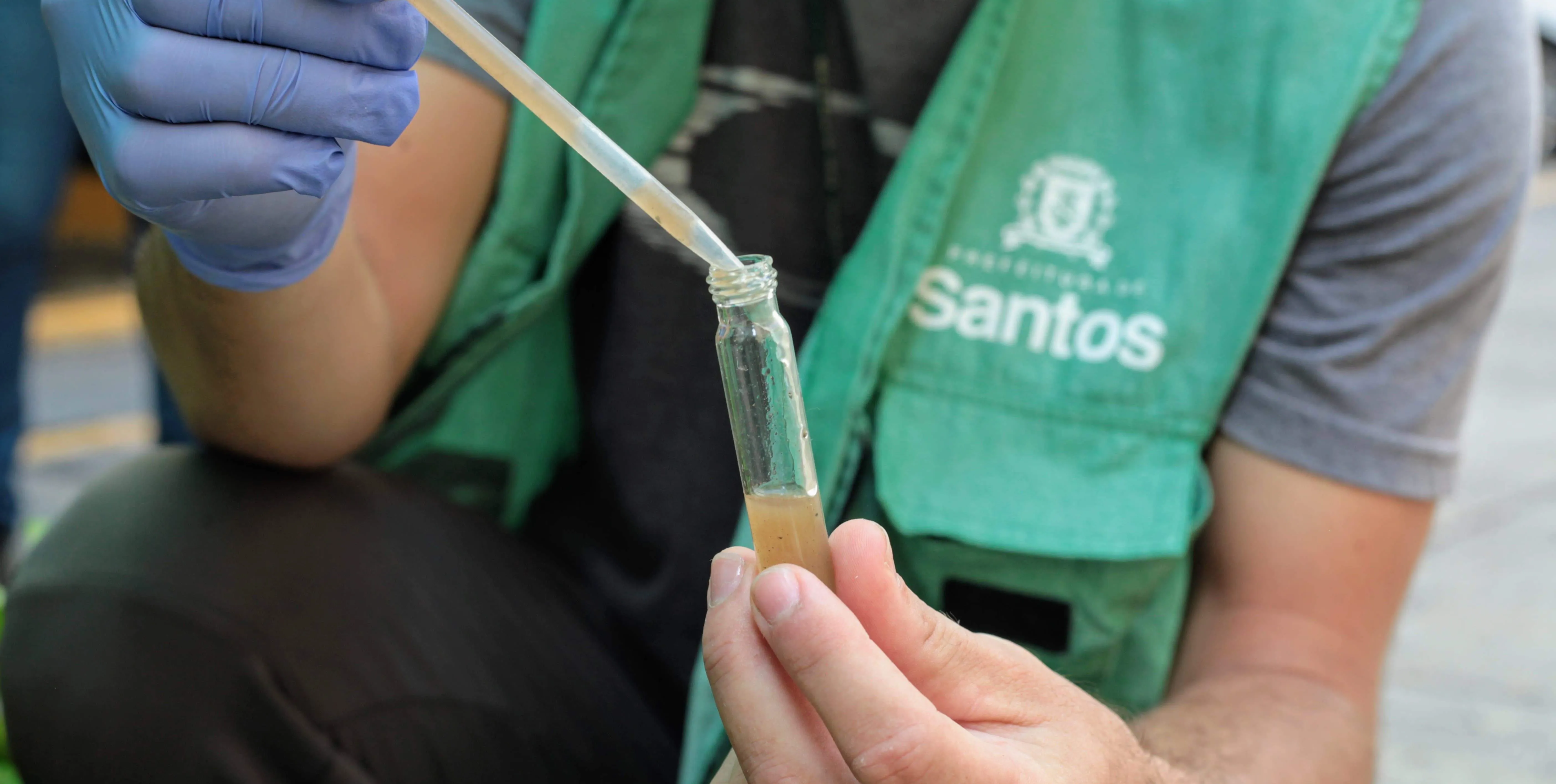   Santos terá Dia D de Mobilização contra o Aedes aegypti neste sábado  