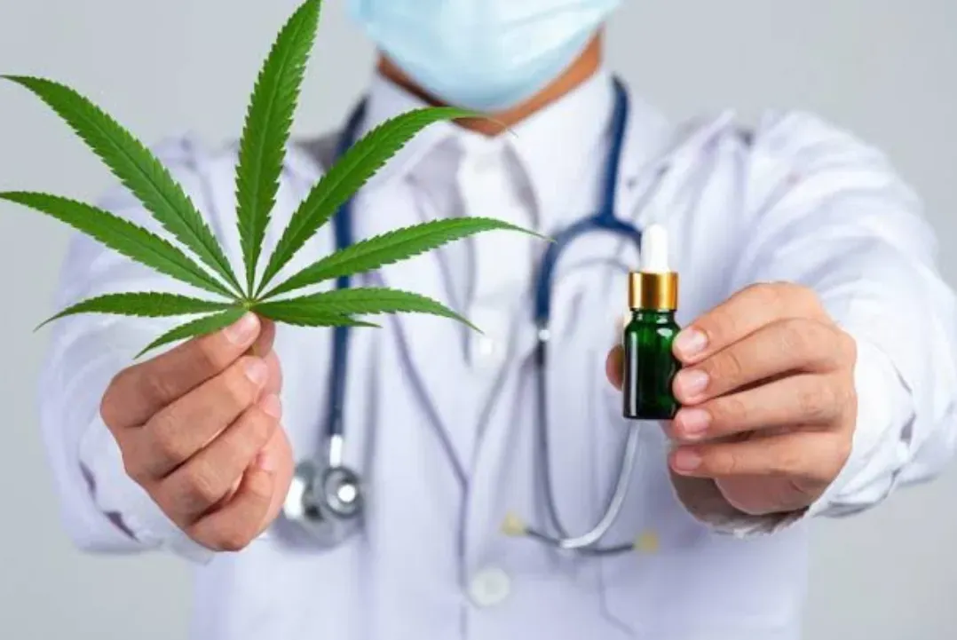 O Nasci vai ofertar gratuitamente à população mais vulnerável a consulta, o tratamento e o remédio à base da planta Cannabis