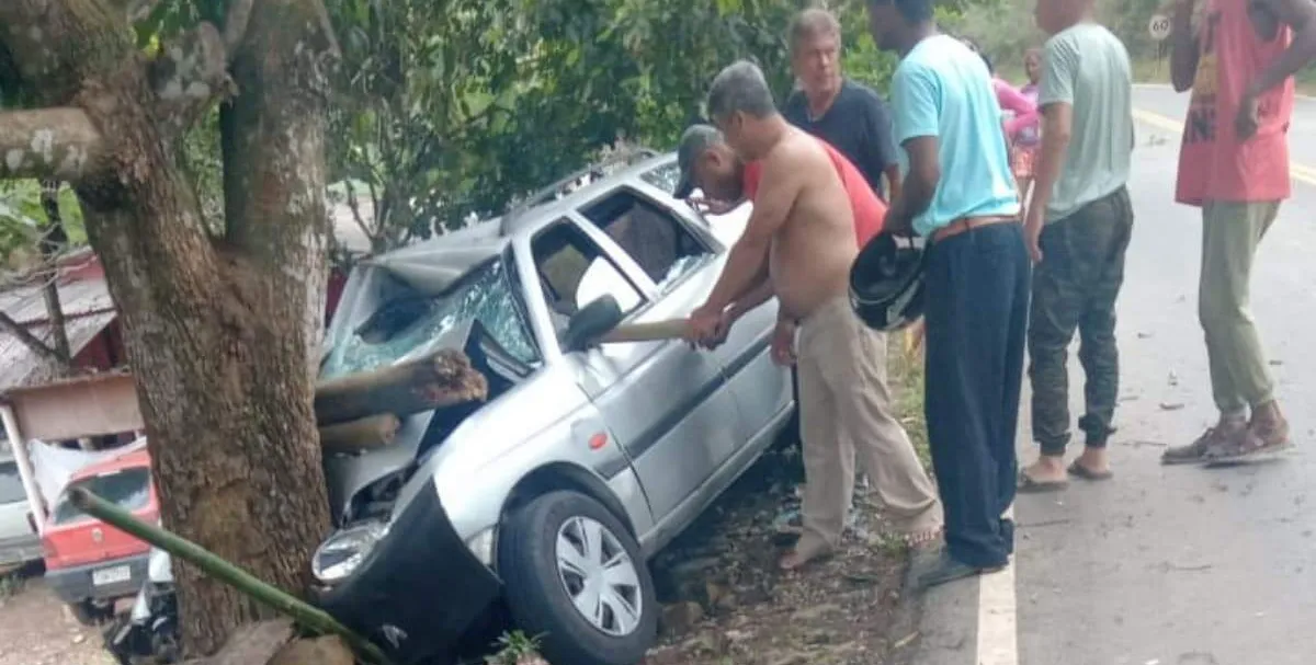 Idosa morre após carro atingir árvore em rodovia 