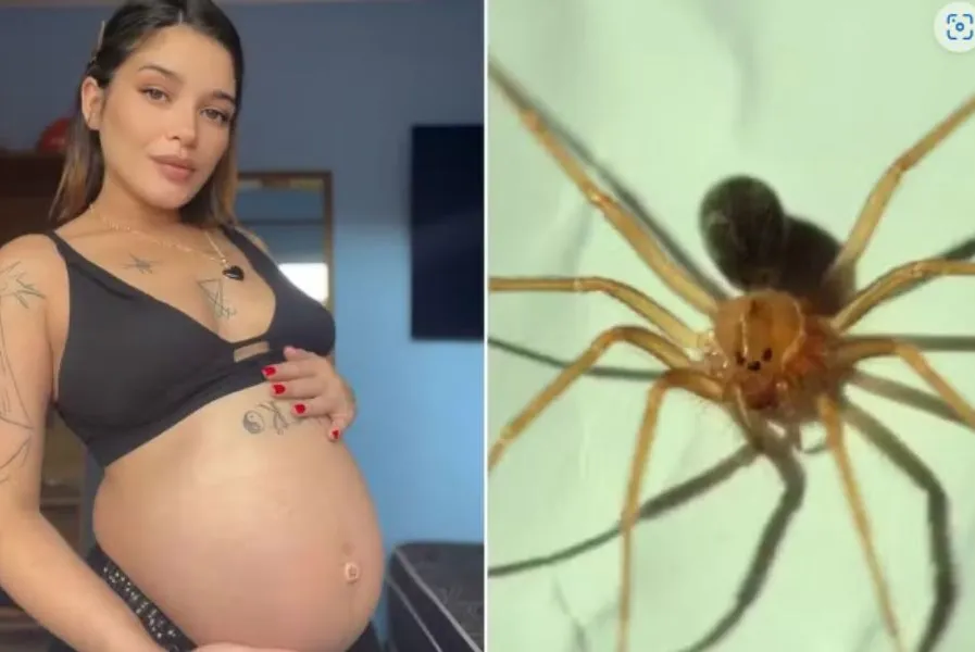 Ketisley Freitas Lessa, de 29 anos, foi picada por uma aranha-marrom no dia 5 de janeiro