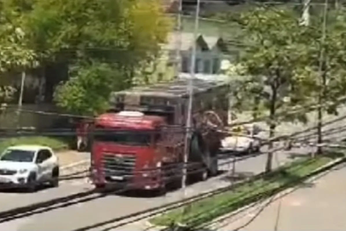 Chegada do caminhão com o passageiro inusitado foi filmada por um amigo do caminhoneiro