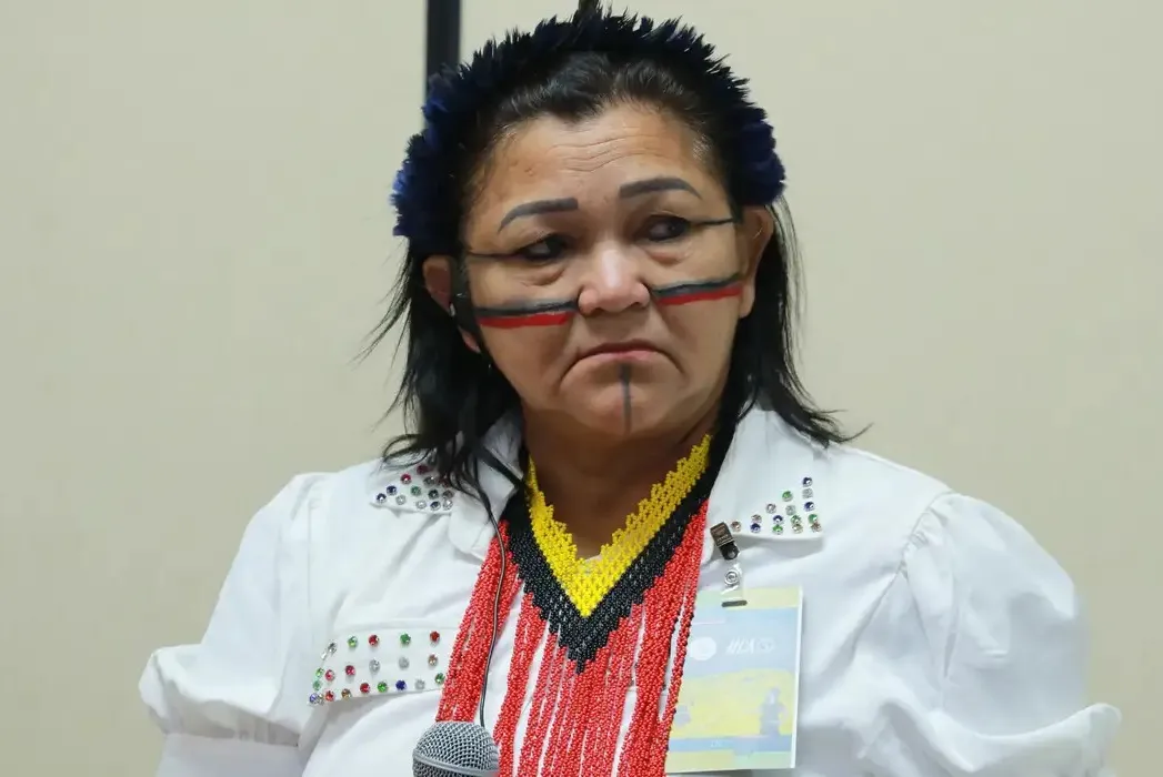 A  cacique Katia Silene Tonkyre, da aldeia Akratikatejé, do povo Gavião da Montanha, do Pará, chamou a atenção para a necessidade de incentivos para que os povos indígenas desenvolvam os próprios projetos agrícolas