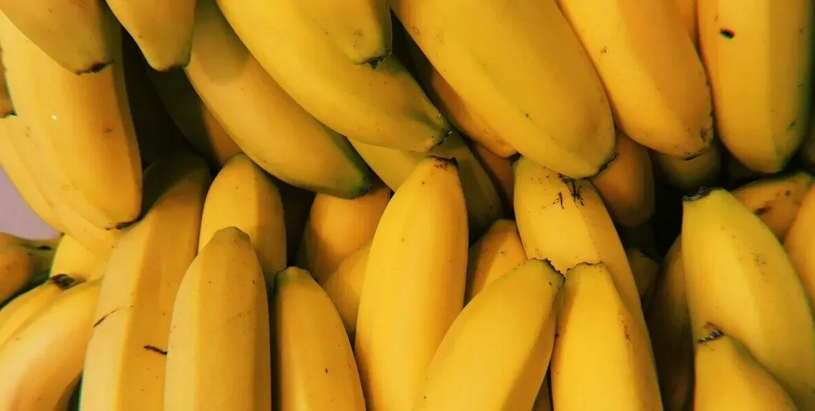 Viver Bem: Banana, a fruta que atua no 'hormônio da felicidade'