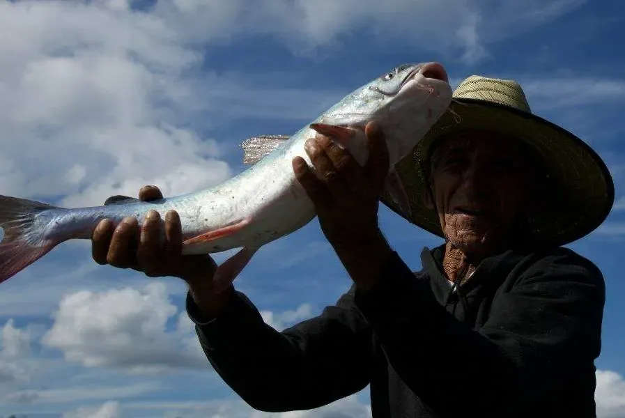 Caixa lança linhas de crédito destinadas a pescadores artesanais