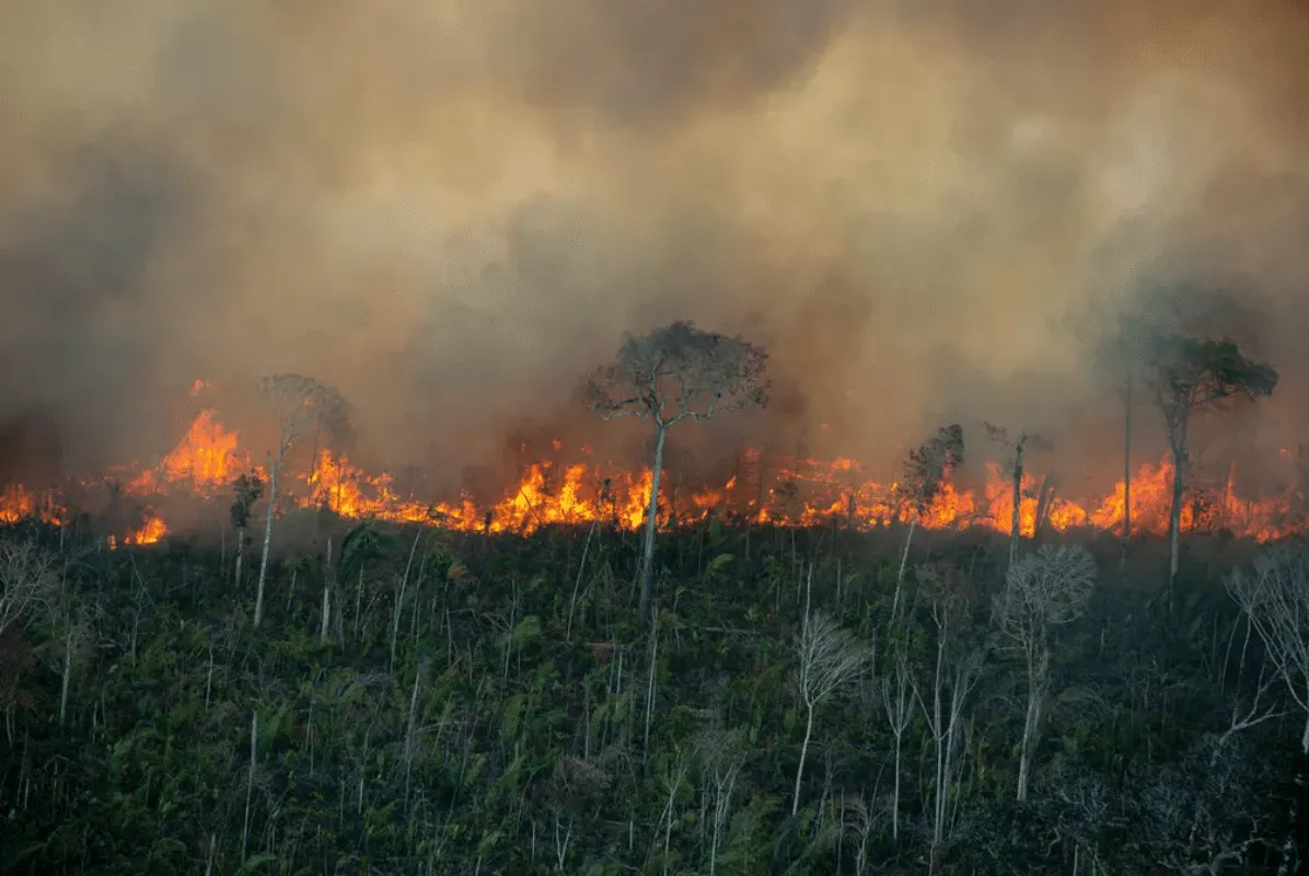 Amazônia tem recorde de queimadas e pior agosto em 12 anos, diz Inpe