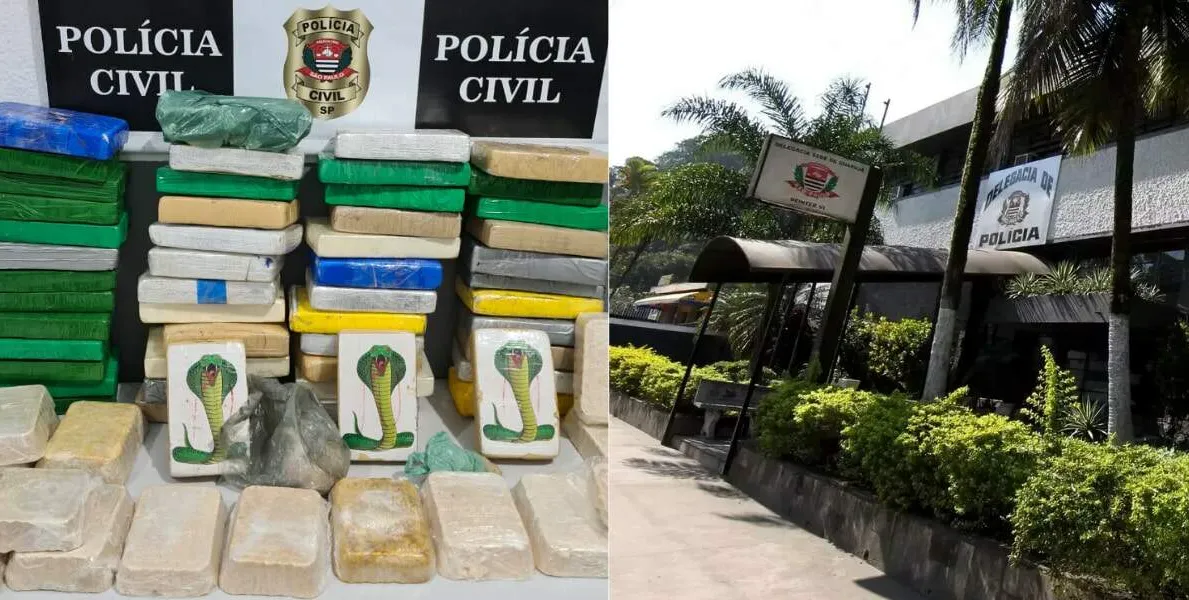  Polícia procura médico após encontrar 60 kg de drogas em condomínio de luxo no litoral de SP 