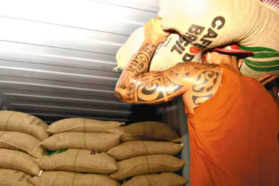 Exportações de café caem 7,4% entre janeiro e outubro