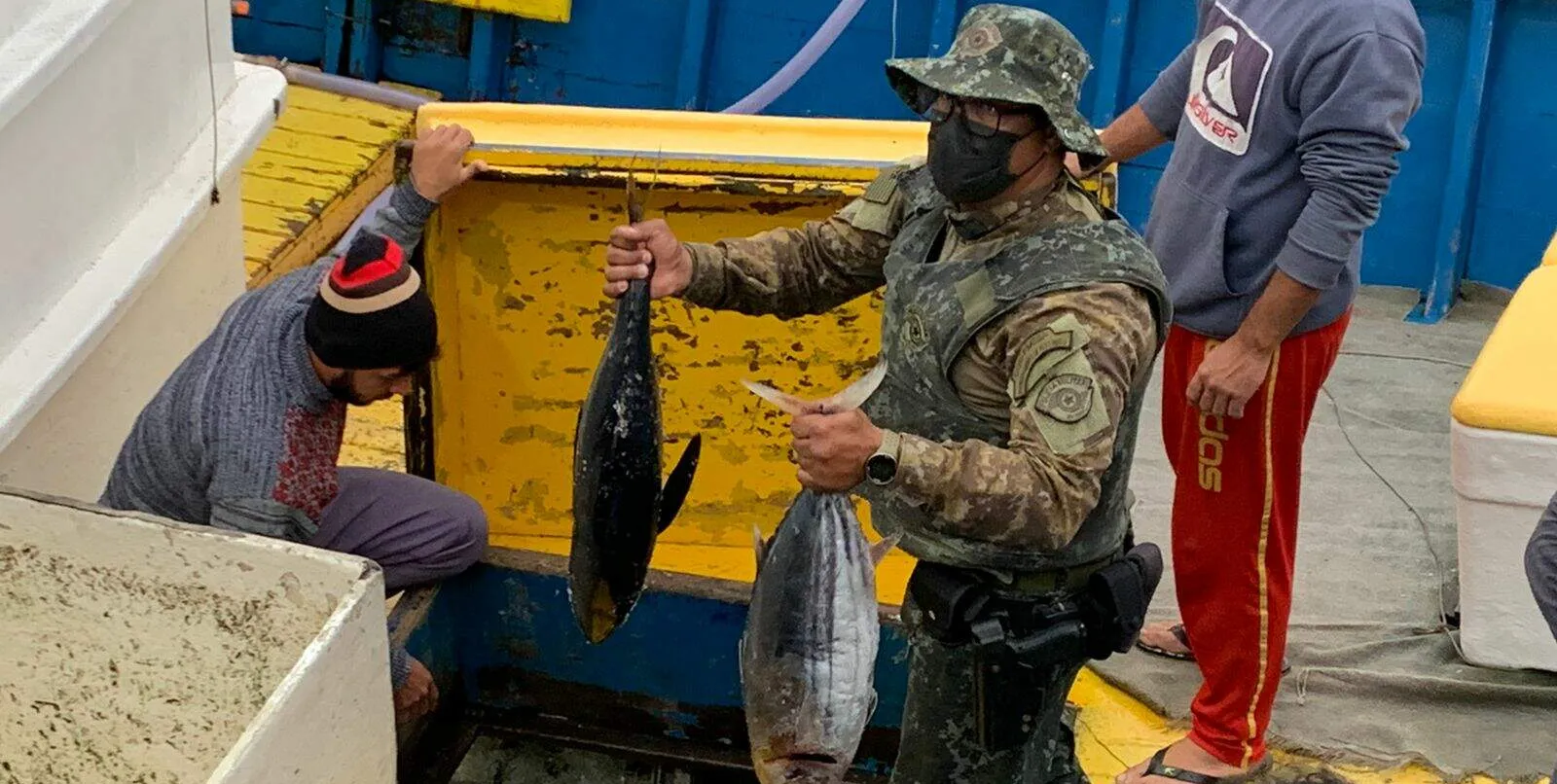  Porto de Santos é alvo de operação de combate ao tráfico e pesca ilegal 