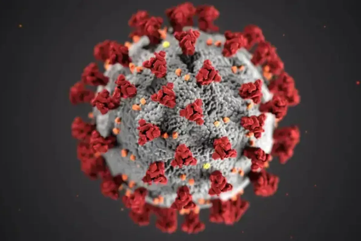 Ômicron, nova variante do coronavírus, foi tema de encontro emergencial